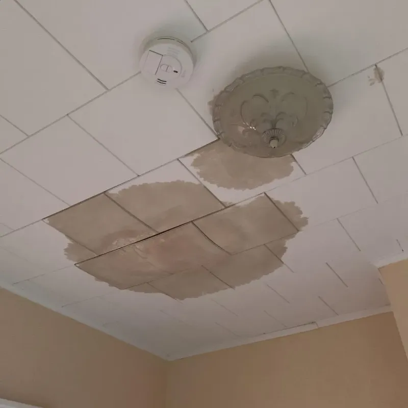 Ceiling Water Damage Repair in Dickinson, ND
