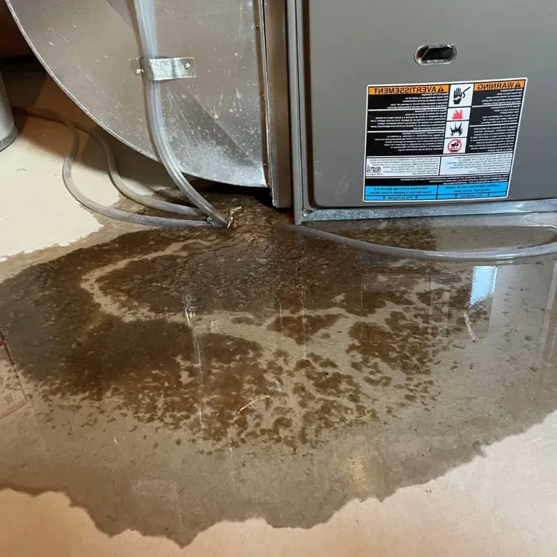 Pipe Burst and Leak Restoration in Dickinson, ND