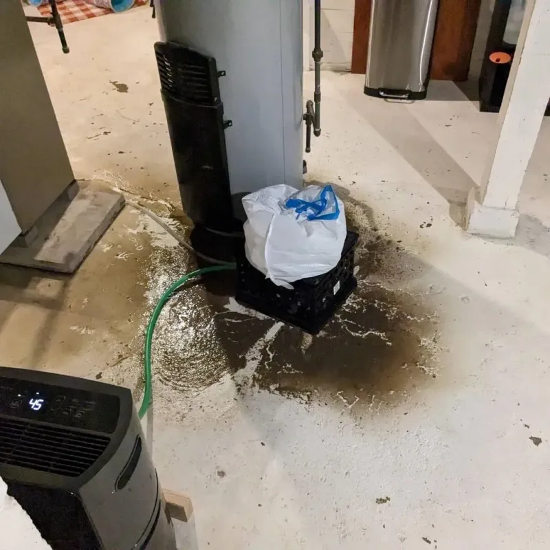 Sewage Backup Cleanup Service in Dickinson, ND